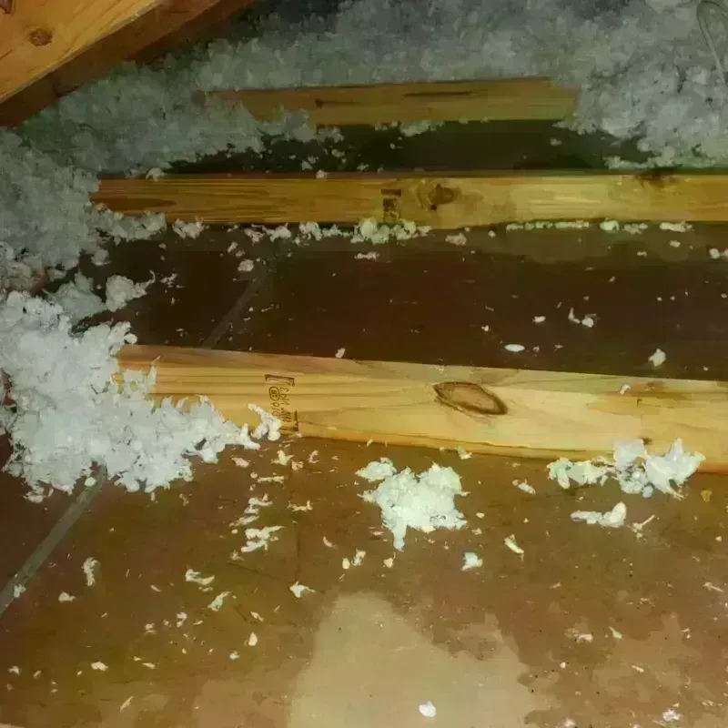 Attic Water Damage in Clayton, OH