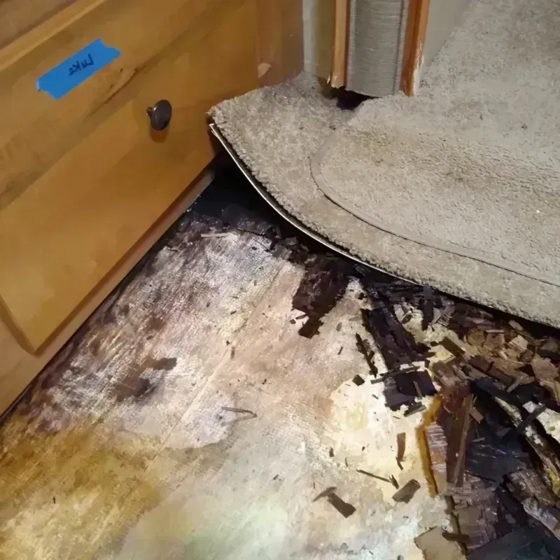 Wood Floor Water Damage in Clayton, OH